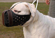 leather dog muzzle for agitation, training, k9 , schutzhund