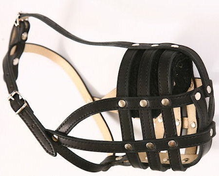 Leather Basket Dog Muzzle for my Bullmastiff