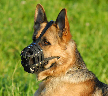 Adjustable Dog Muzzle for German Shepherd-Leather Dog Muzzle M41