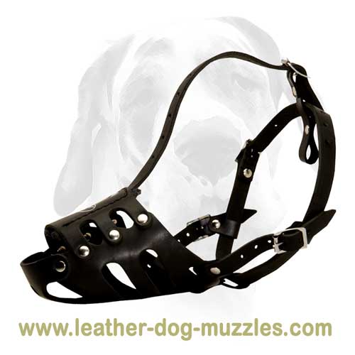 Anti-biting leather dog muzzle