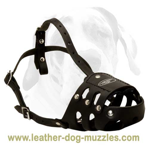 Airy design anti-barking dog muzzle