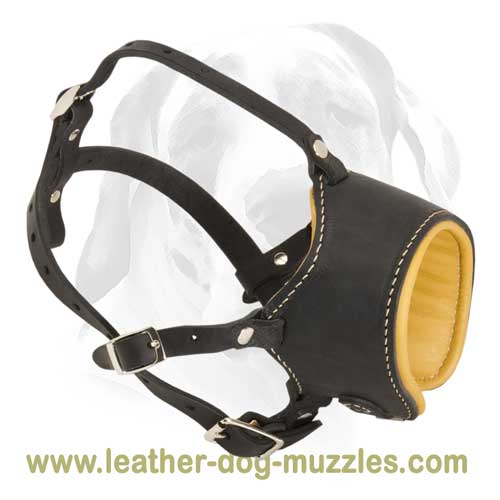 Dog muzzle of full genuine leather