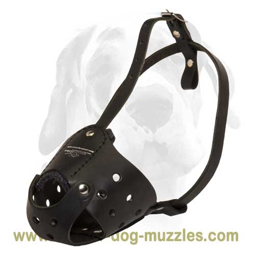 Large and medium breeds daily leather muzzle