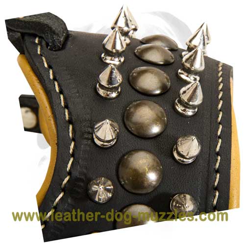 Leather muzzle for obedience training