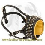 Nappa Padded Muzzle with Spikes for Large and Medium Breeds