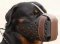 Dog Muzzle Agitation Training -Rottweiler LeatherDog Muzzle M55