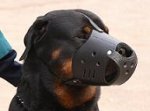 Leather Dog Muzzle For Rottweiler - Custom Dog Muzzle M51