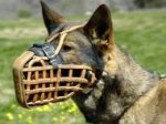 Special Police Model Dog Muzzle -Leather German Agitation Muzzle