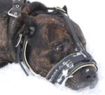 Anti Bark Leather Dog Muzzle-Anti Biting Muzzle for Cane Corso