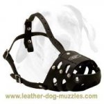 Everyday Anti-Barking Leather Dog Muzzle