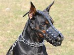 Doberman Leather Muzzle-Everyday Light Weight Ventilation muzzle