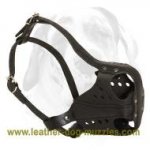 New Reinforced Dog Muzzle for agitation/attack training