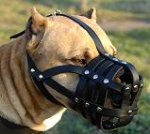 Light Weight Ventilation Leather Dog Muzzle for Amstaff M41