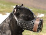 Agitation/Police Muzzle For Cane Corso/Training Leather Muzzle