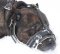 Anti Bark Leather Dog Muzzle-Anti Biting Muzzle for Cane Corso