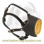 The Snuggest Leather dog muzzle for large and medium breeds