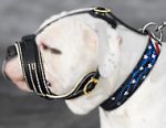 Large Anti Bark Leather Dog Muzzle for American Bulldog - M88