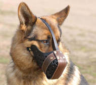 Agitation Leather Dog Muzzle For German Shepherd, K9 Dog Muzzle