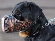 Hand painted by our artists leather Muzzle "Dondi" Plus-Rottweil Hand painted by our artists leather Muzzle "Dondi" Plus-Rottweil