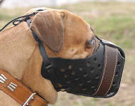 leather dog muzzle for agitation, training, k9 , schutzhund