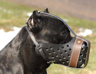 Agitation/Police Muzzle For Cane Corso/Training Leather Muzzle
