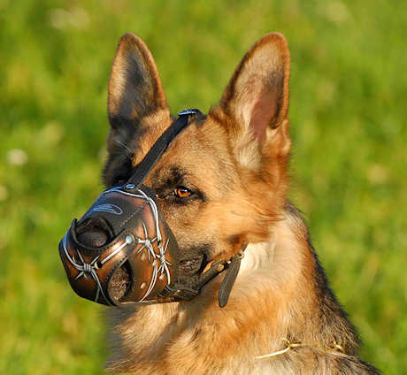 German Shepherd art designer Leather dog muzzle - Click Image to Close
