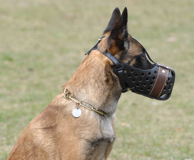 leather dog muzzle