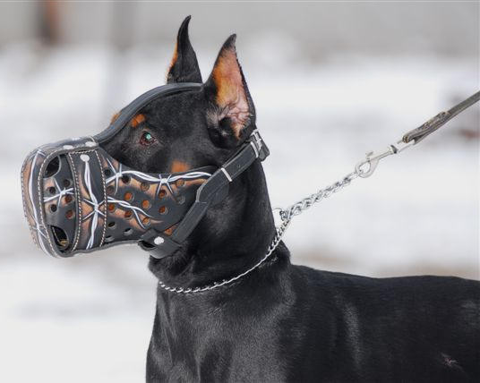 Hand painted by our artists leather Muzzle "Dondi" Plus - Barbed - Click Image to Close