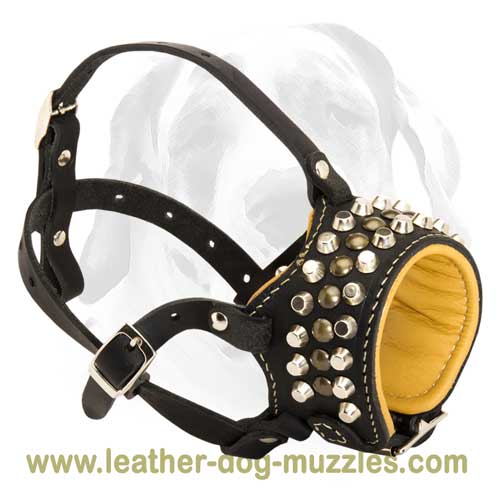Chic Padded Leather Dog Muzzle for large and medium breeds