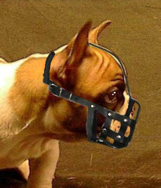 dog bulldog french muzzle muzzles leather m41 basket ventilation 1040 weight 1079 custom