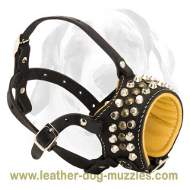 Chic Padded Leather Dog Muzzle for large and medium breeds