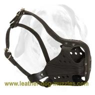 New Reinforced Dog Muzzle for agitation/attack training