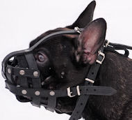 Leather Dog Muzzle for French Bulldog - Small Leather Dog Muzzle