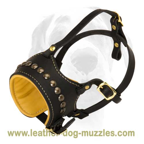 Leather muzzle neatly decorated with studs