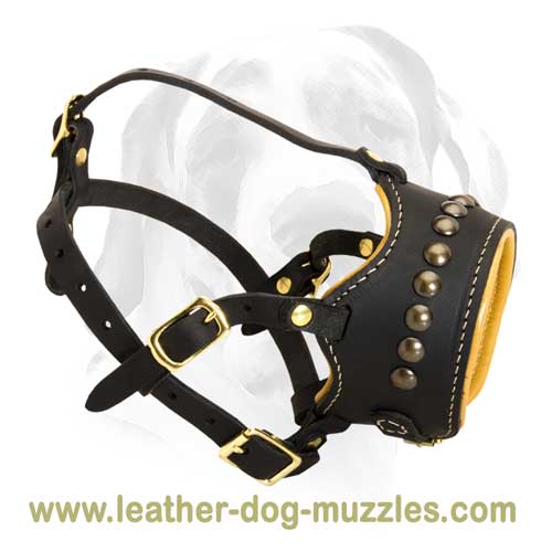 Chic looking 100% leather dog muzzle