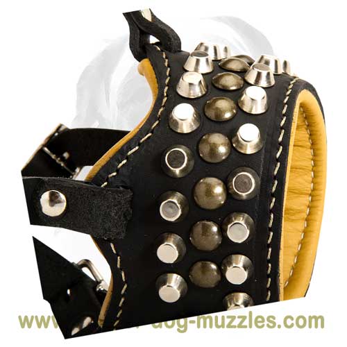 Originally decorated dog leather muzzle