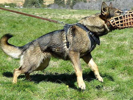 training dog muzzle - leather basket dog muzzle