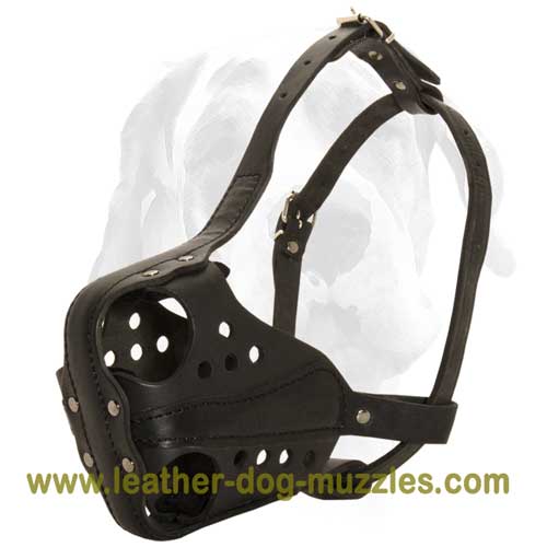 Improved attack dog muzzle