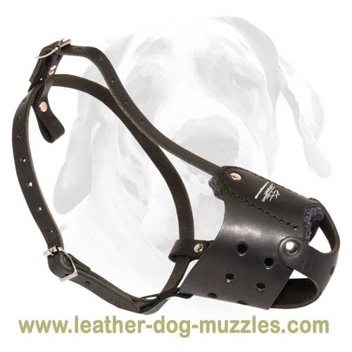 Everyday leather muzzle for large and medium dogs