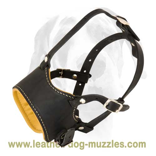 Comfortable leather dog muzzle