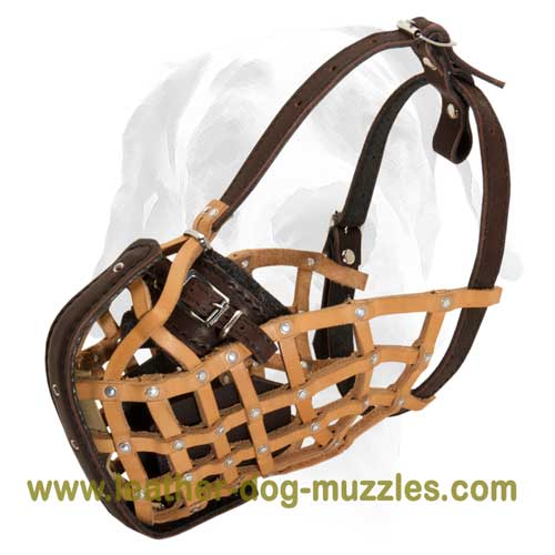 Light weight dog muzzle for agitation training