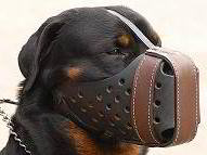 Dog Muzzle Agitation Training -Rottweiler LeatherDog Muzzle M55