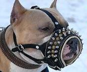 Leather PADDED MUZZLE - Royal Spiked Dog Muzzle for Amstaff